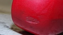 DSC08170.JPG