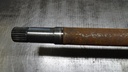 DSC08314.JPG