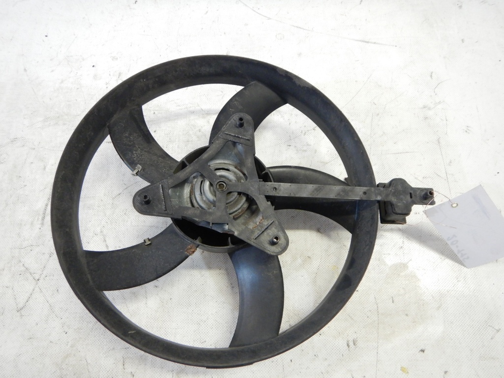DSCN8729.JPG
