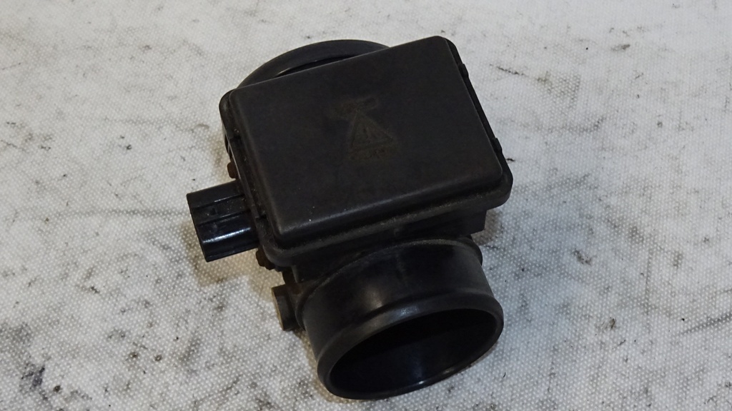 DSC08787.JPG
