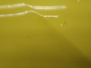 16318914909662081850807363051430.jpg