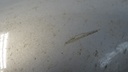 DSC00690.JPG