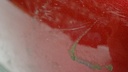 DSC00862.JPG