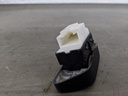 IMG_20211025_135528.jpg