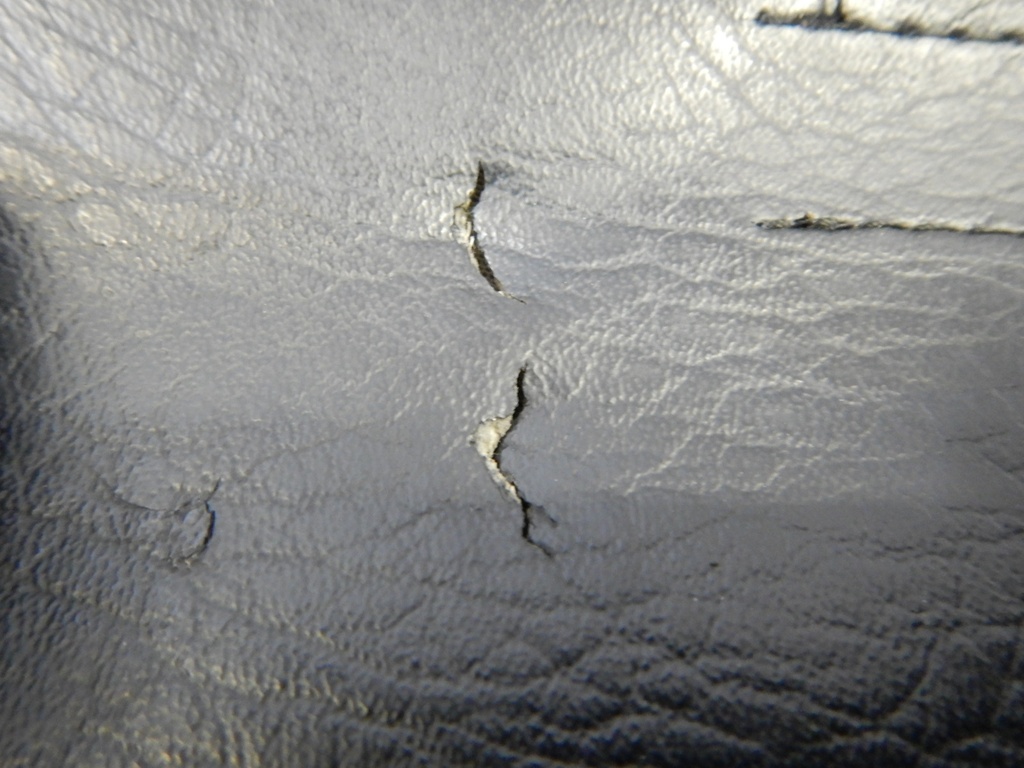 DSCN9194.JPG