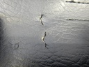 DSCN9194.JPG