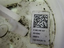 DSCN4390.JPG