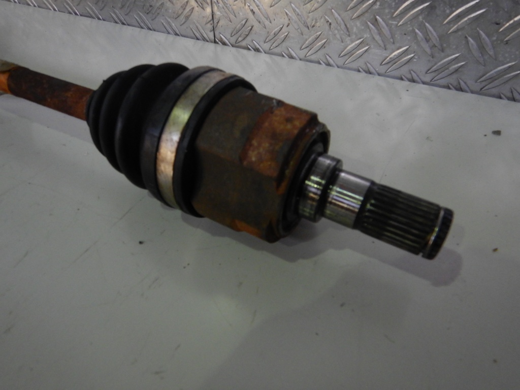 DSCN4499.JPG