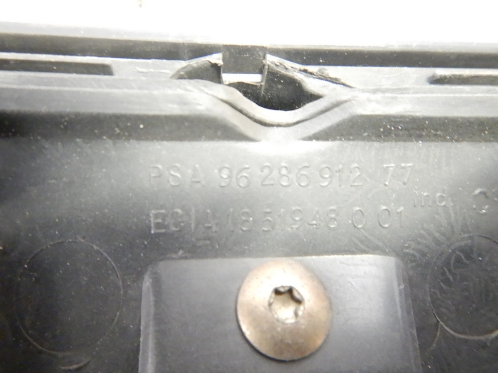 DSCN0851.JPG