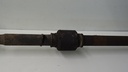 DSC05381.JPG