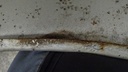 DSC05650.JPG