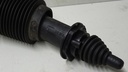 DSC07013.JPG