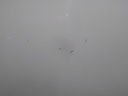 16384569899687754140034548315343.jpg
