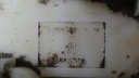 DSC08840.JPG