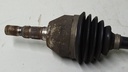 DSC00263.JPG