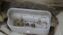 DSC00360.JPG