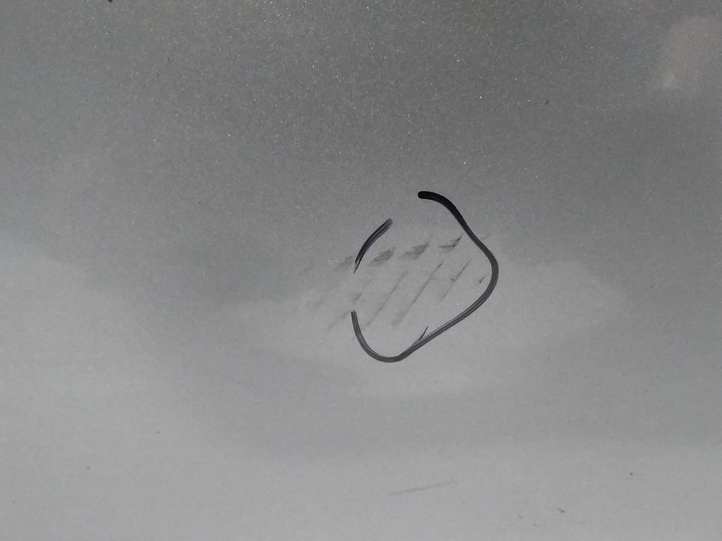 16412153690618459002020602123725.jpg