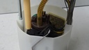 DSC01805.JPG