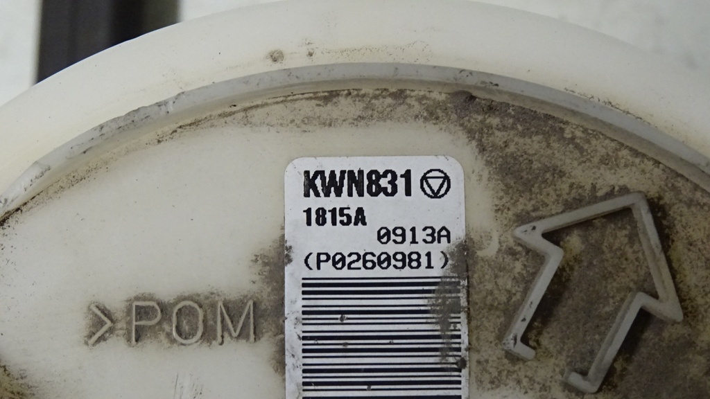 DSC01817.JPG