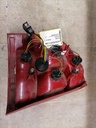 IMG_20220110_125646.jpg