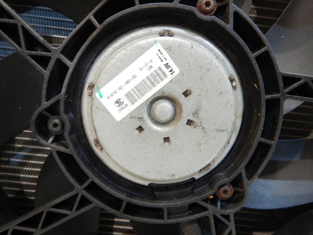 DSCN4631.JPG