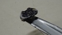 DSC02428.JPG