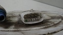 DSC02735.JPG