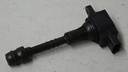 DSC03075.JPG