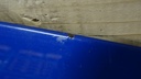 DSC03526.JPG