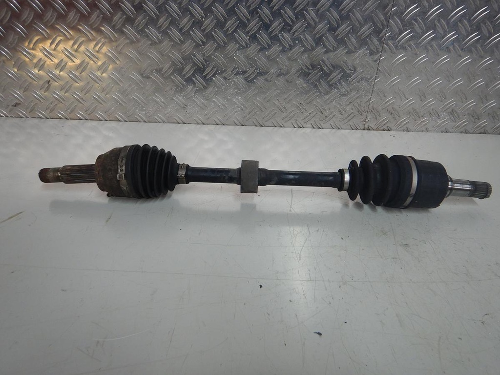 DSCN5546.JPG