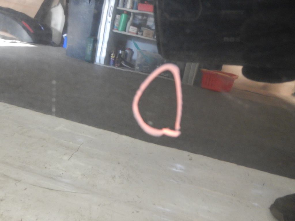 DSCN5290.JPG