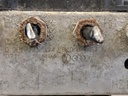 IMG_20220126_145045.jpg