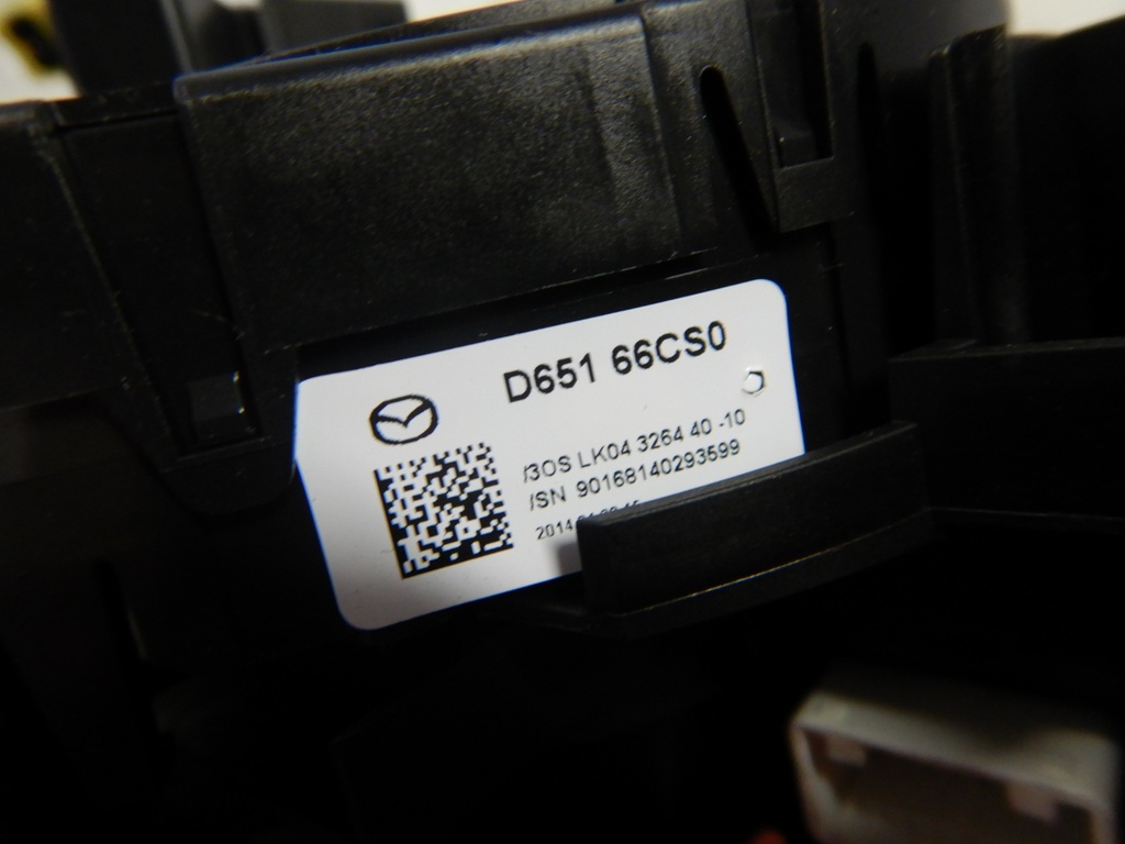 DSCN6236.JPG