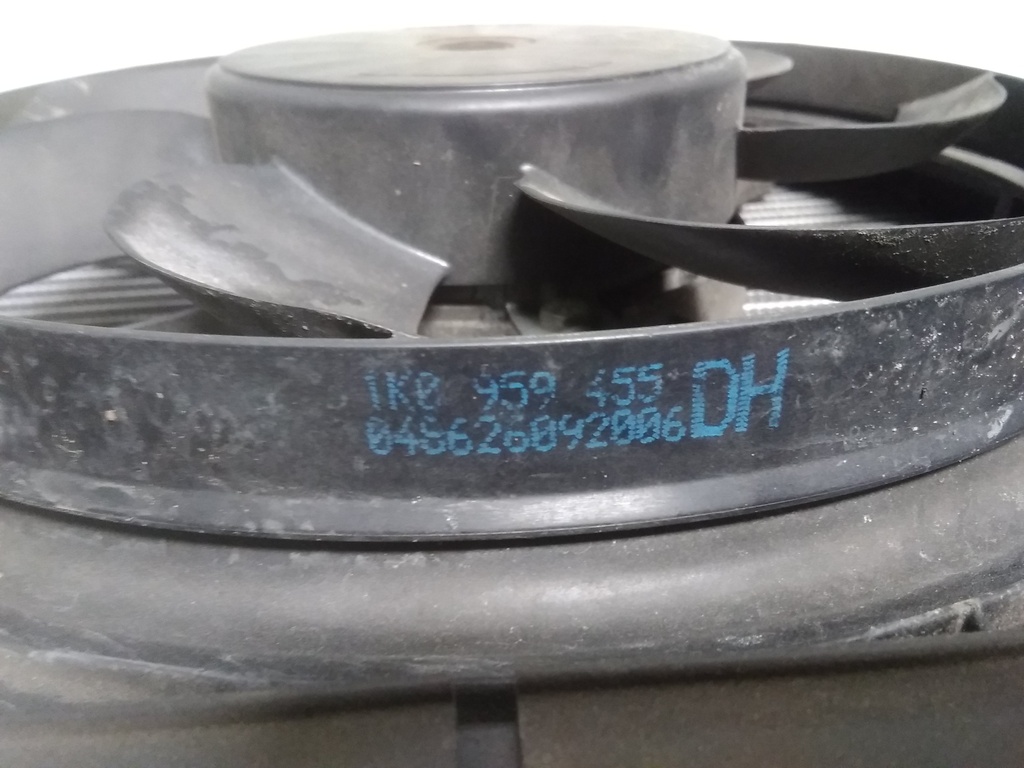 16445888764965305091482109340006.jpg