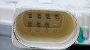 DSC07716.JPG