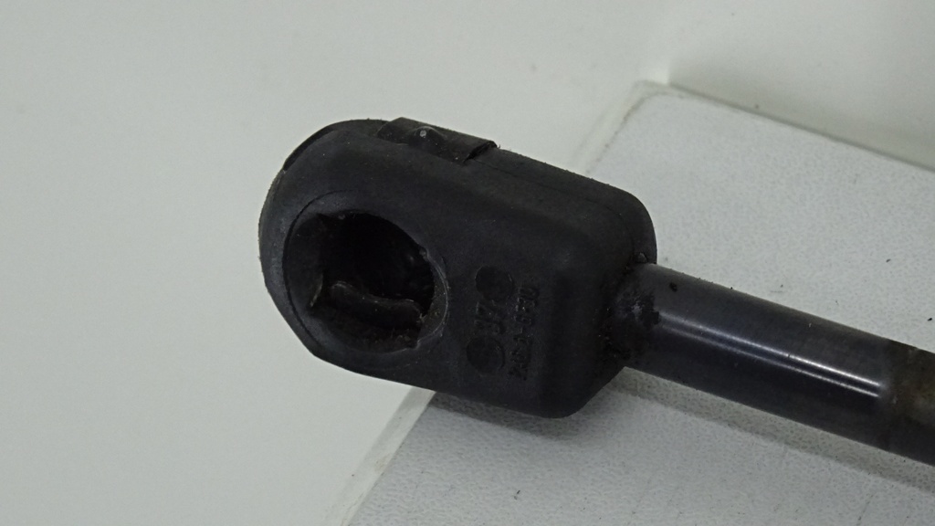 DSC07974.JPG