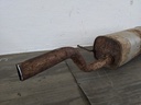 IMG_20220224_130607.jpg