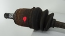 DSC08890.JPG