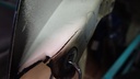 DSC09428.JPG