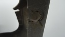 DSC09472.JPG