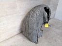 IMG_20220321_130707.jpg