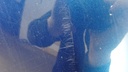 DSC09647.JPG
