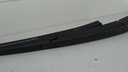 DSC09899.JPG