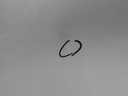 16487263269435744130684727313537.jpg