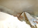 DSCN9049.JPG