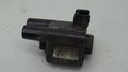 DSC00453.JPG