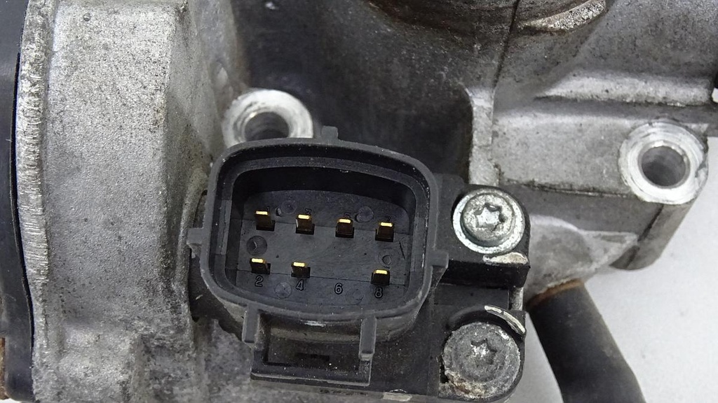 DSC00628.JPG