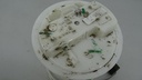 DSC01101.JPG