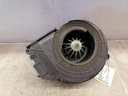 IMG_20220411_162850.jpg