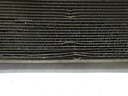 DSCN0343.JPG